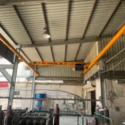 1 Ton Capacity Single Grider EOT Crane