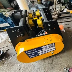 1 Ton Capacity Electric Wire Rope Hoists