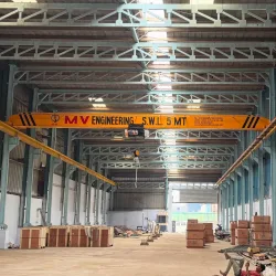 1 Ton Capacity Single Grider EOT Crane